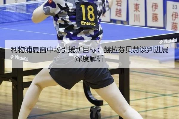 利物浦夏窗中场引援新目标：赫拉芬贝赫谈判进展深度解析